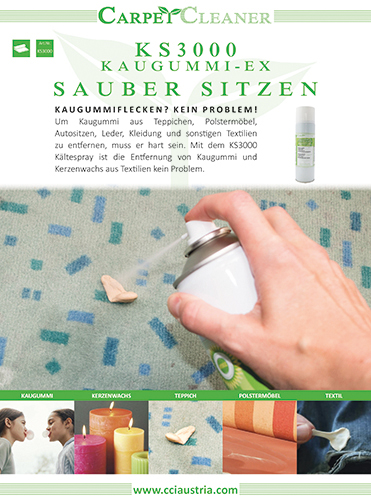 Flyer KS3000 Kaugummientferner